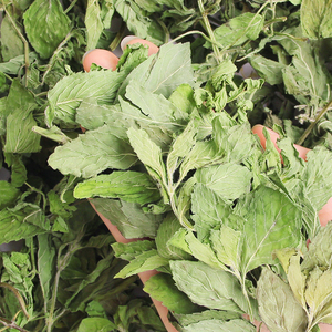 Té de Hojas de Menta Secas al por Mayor, Bolsas de Té de Menta Seca a Granel, Hierbas Secas, Té de Menta de Hoja Verde - Product Image 3