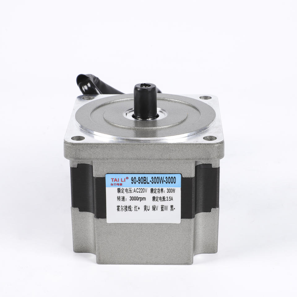 12v 24v 48v 220v High Torque Electric BLDC Brushless DC Gear Motor ...