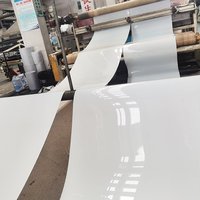 Cinta Transportadora de PP Duradera KAXITE Modelo KXT-MBX030 con 1.5 Años de Garantía para la Gestión de Estiércol de Aves y Ganado