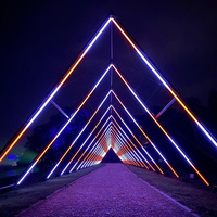 24V a mené le tunnel de barre de pixel de lumière d'étape pour la lumière décorative d'événement pour épouser