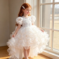 Robe de cérémonie européenne et américaine à manches bouffantes, en maille brodée, longueur thé, style princesse, pour fête d'anniversaire ou demoiselle d'honneur