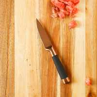 Couteaux de cuisine en acier inoxydable, vente en gros, or Rose, revêtement antiadhésif, ensemble de couteaux de cuisine, poignée creuse, 3 pièces