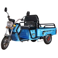 Tricycles électriques à 3 roues EEC pour le transport de marchandises, vendus en gros à bas prix – Camion de fret