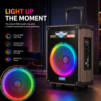 Speaker Karaoke Party Trolley 12-Inci 50W-100W HS-TS12Q3 dengan Dua Mikrofon Nirkabel dan Gagang Retraktil untuk V5.3 RGB LED