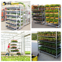 Étagères grillagées galvanisées personnalisables OEM pour fleurs de pépinière Étagères de ferme pour serres de plantes danoises