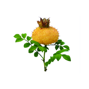 Qyherb bán sỉ số lượng lớn 100% tự nhiên gai Lê VC nước trái cây bột/superoxide Dismutase/SOD 20000 100000 mẫu miễn phí - Product Image 3