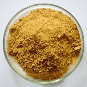 10:1水溶性アンジェリカシネンシスアンジェリカルートドンカイエキス - Product Image 3