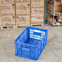 Caisse logistique pliable en maille plastique HDPE, écologique, recyclable, durable, empilable et emboîtable, pour légumes et œufs