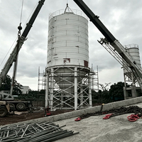 Silo Verticale per Cemento da 50T 100T 200T, Serbatoio di Stoccaggio per Polveri Sfuse, Tipo Smontabile in Acciaio per Impianti di Betonaggio
