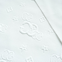 Venta Directa de Fábrica, Tela Jacquard de Punto con Letras CG, Jacquard de Seda en Trama, Elástica, Capa de Aire, Anti-Pilling, Material para Ropa al por Mayor