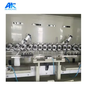 Toilet Cleaner Filling Machine Strong Acidic Liquid Bleach Filling Machine