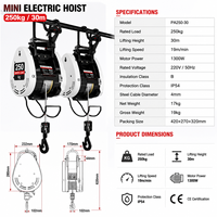 Mini palan électrique à charge lourde 250 kg, levage 30 m, télécommande sans fil, treuil de levage compact pour usage domestique, travaux de construction et de vente au détail