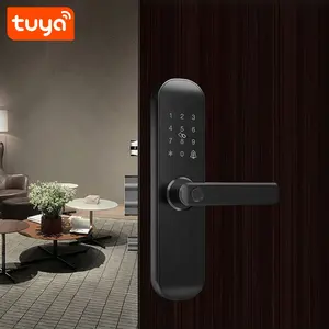 2023 Kunci Pintu Sidik Jari WIFI Cerdas dengan Remote Control Aplikasi Tuya Seluler untuk PST-E202 Keamanan Rumah