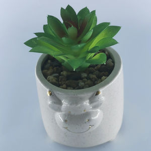Witte Geglazuurde Keramische Bloempot Met Voeten Sappige Plantenbak Voor Huis-En Tuindecoratie - Product Image 5