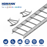 Échelle à câbles en acier électrogalvanisé robuste de 400 mm certifiée Hdmann SGS pour le routage de câbles électriques dans les centrales électriques