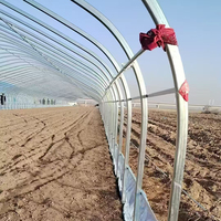 Petit tunnel de serre agricole solaire passif pour la culture hivernale des légumes avec structure d'isolation thermique