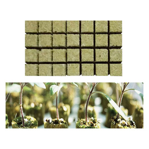 Cubos de <span class=keywords><strong>Lana</strong></span> <span class=keywords><strong>Mineral</strong></span> Hidropónica ISOKING 6x6, Bloque de Cultivo Agrícola, Material <span class=keywords><strong>Aislante</strong></span> Térmico - Product Image 2