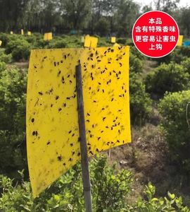 กับดัก<span class=keywords><strong>แมลง</strong></span>วันผลไม้กับดัก<span class=keywords><strong>แมลง</strong></span>วันเหนียวสีเหลืองสำหรับนักฆ่าแมลงพืชบินในร่ม/กลางแจ้งเช่น<span class=keywords><strong>แมลง</strong></span>กัดแทะเชื้อราแมลงหวี่ขาว<span class=keywords><strong>เพลี้ย</strong></span>อ่อน - Product Image 6