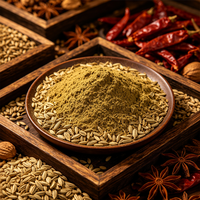 Fabricant chinois de poudre de fenouil pure naturelle de haute qualité, prix de gros, épices en vrac pour assaisonnement de viande