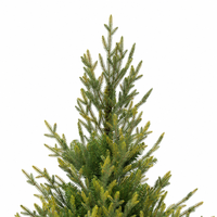 Sapin de Noël artificiel en pot de 2,10 m pour entrée, porche, avec base décorative en forme d'urne carrée, décoration intérieure et extérieure
