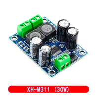 XH-M311 Mini version TPA3118 Module amplificateur audio numérique mono 60W 30W