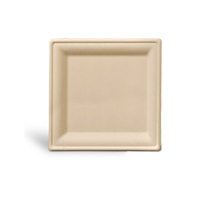 Assiette carrée jetable SUMKOKA biodégradable et compostable de 10 pouces en pulpe de canne à sucre pour dîner