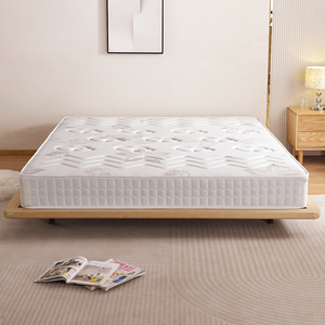22cm Independent Bagged <strong>Spring</strong> <strong>Mattress</strong>, <strong>Foam</strong> <strong>Mattress</strong>, Hotel Home Soft Cushion <strong>Spring</strong> <strong>Mattress</strong> - Product Image 6