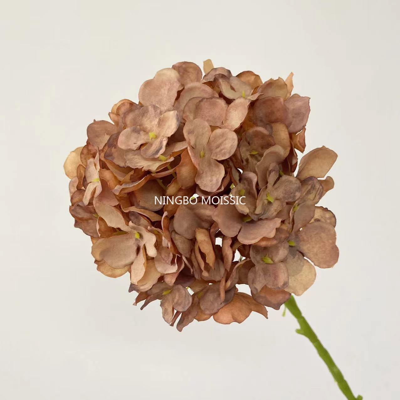 สีน้ำตาล