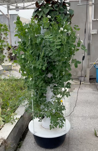 Sistema de Torre Hidropónica Vertical Comercial |   Jardinera para Cultivo sin Suelo para Agricultura Urbana en Invernaderos - Product Image 2