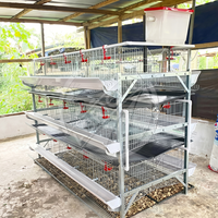 Nouvelles cages automatiques pour poules pondeuses à 3/4/5 niveaux en acier galvanisé à chaud, système de collecte d'œufs multifonctionnel, usage commercial