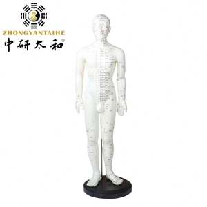 Modelo de acupuntura china para hombre, 50cm - Product Image 2