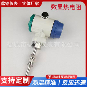 Integrated Temperature Transmitter Pt100 4 20ma Digital Display Explosion Proof Sensor Wzpb 24v - Product Image 5