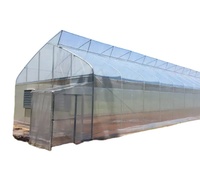 Serre hydroponique tropicale à prix réduit, grande taille, à structure en acier à profil denté, avec contrôle climatique, pour la culture agricole de tomates