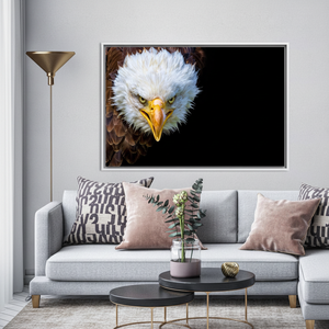 Tableau imprimé sur toile : majestueux aigle chauve pour décoration de loft, toile encadrée blanche - Product Image 3