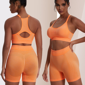 Set di Leggings corti da <span class=keywords><strong>palestra</strong></span> imbottiti ad alto impatto con reggiseno sportivo da Yoga con retro traforato Set di reggiseno sportivo Sexy da donna - Product Image 2