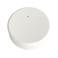 Sensor de Temperatura y Humedad ABSensor N07 BLE Beacon, Protocolo BTHome, Alcance de 100m, Compatible con Home Assistant, Fabricante USB