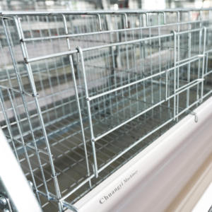 Volautomatisch A-Type Batterij Kippenkooi Stalen Gaas Met Legsysteem En Eierverzameling Voor De Pluimveehouderij - Product Image 4