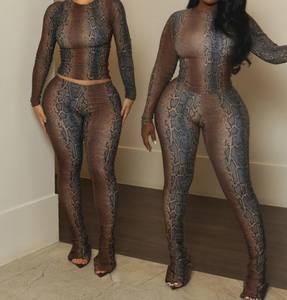 2025年ブティック卸売 秋冬 蛇柄プリント 長袖ツーピースセット レディース - Product Image 1