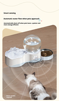 Fontaine à eau pour animaux de compagnie en plastique durable de grande capacité 2,5 L, stockage de nourriture, circulation automatique, ultra silencieuse, design détachable pour chat