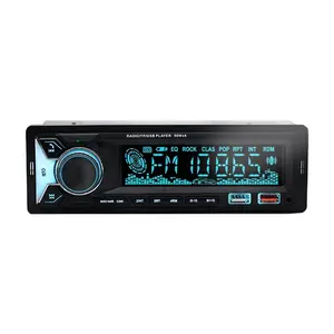 EW-Radio FM para coche, reproductor MP3 estéreo de alta potencia, modelo privado