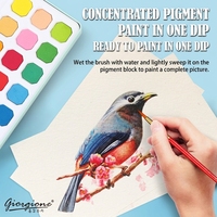 Ensemble de peinture à l'aquarelle professionnelle Giorgione 24 couleurs avec pinceau en nylon et stylo pinceau pour toile/papier offerts