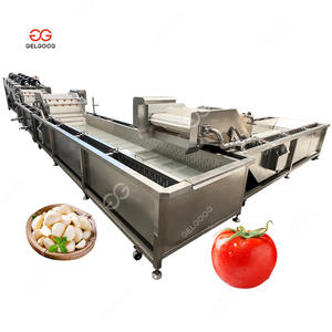 נורה שום לכלוך שורש מברשת ניקוי ניקוי ניקוי קו עיבוד קו קולב ג 'ינג' ר ושום מכונת צחצוח - Product Image 6