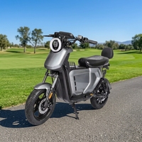 Moto électrique 1000W 72V 30Ah avec batterie au lithium, longue autonomie, moteur roue arrière, double frein à disque, pour adultes