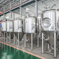 Cuve de Fermentation Conique de 1000L pour l'Équipement de Brasserie