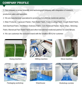 Fourniture de soins de santé en gros plâtre menthol à base de plantes à chaleur efficace sans patchs de douleur pour les muscles du cou - Product Image 6