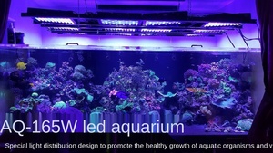 Nouvelle lampe LED pour <span class=keywords><strong>aquarium</strong></span> à spectre complet dimmable 165W, lumière de décoration pour récif corallien, <span class=keywords><strong>eau</strong></span> salée et <span class=keywords><strong>eau</strong></span> <span class=keywords><strong>douce</strong></span>, poissons et coraux - Product Image 4