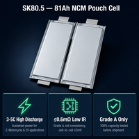 Paket Baterai Kapasitas Besar Soft Pouch NMC Lithium Ion Cell 80Ah 83Ah 3C 5C untuk Skuter Listrik, Sepeda Motor, Sepeda
