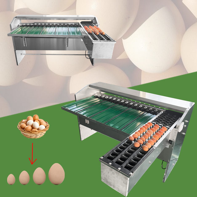 Automatic High Efficiency 304 Stainless Steel Egg Weight Size Grading & Sorting Packing Machine 30000 Eggs/hour Capacity