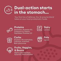 Supplément intestinal de marque privée spiruline probiotiques prébiotiques capsules d'enzymes digestives pour une digestion saine