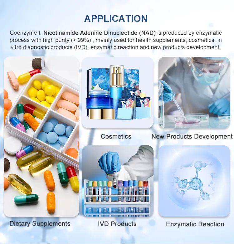 Gıda sınıfı toz 99% yüksek saflıkta nicotinamide adenine dinucleotide için kozmetik ham maddesi